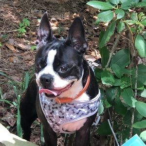 Meet your Posher, Kim